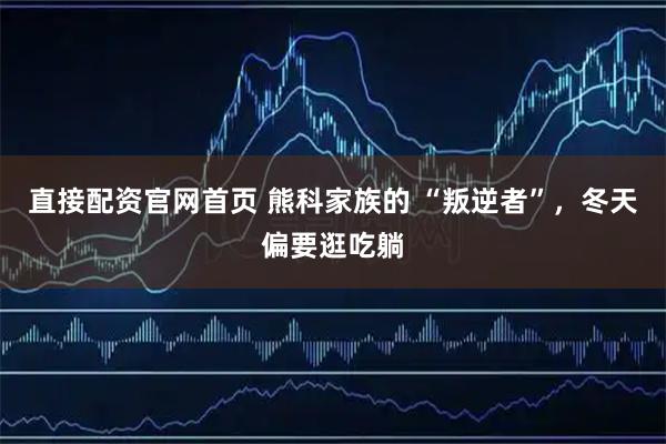 直接配资官网首页 熊科家族的 “叛逆者”，冬天偏要逛吃躺